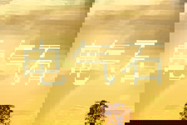 电气石