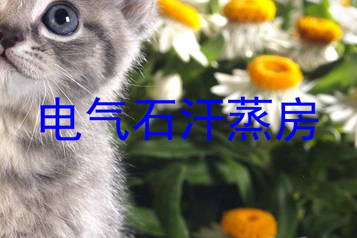电气石汗蒸房