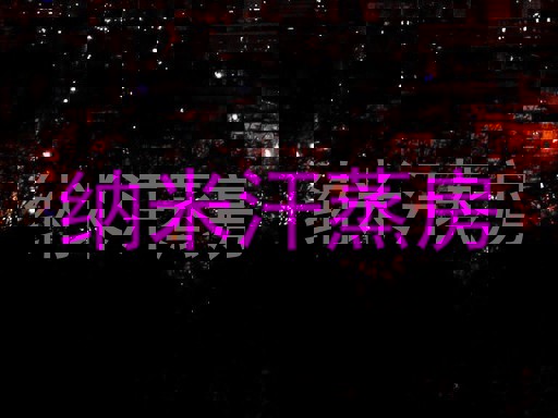 纳米汗蒸房