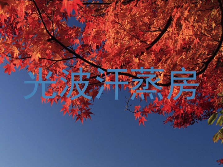 光波汗蒸房