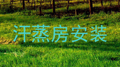汗蒸房安装