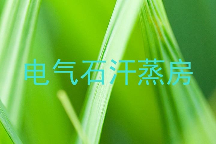 电气石汗蒸房