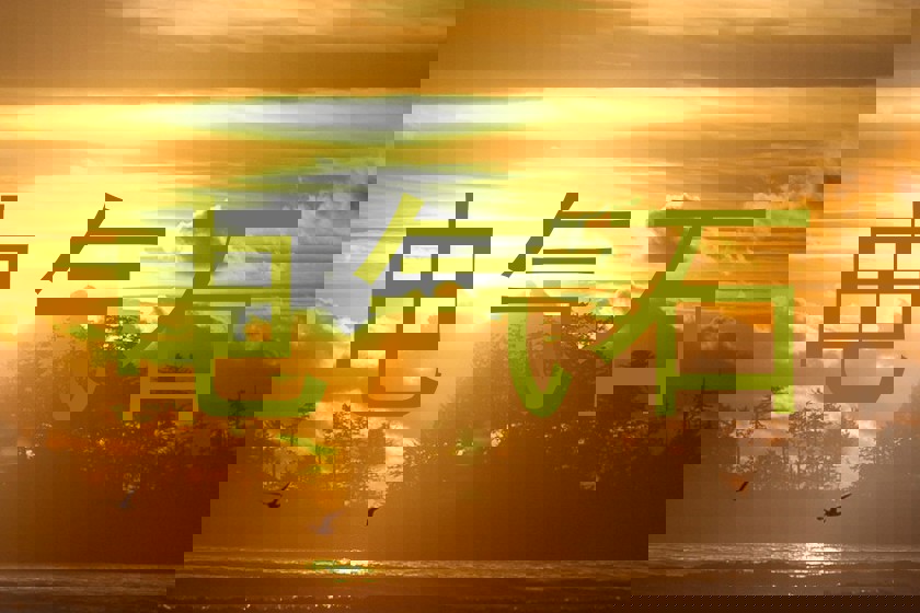 电气石
