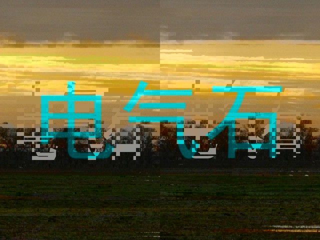 电气石