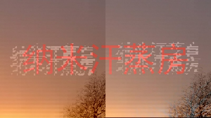 纳米汗蒸房
