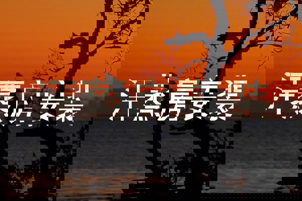 汗蒸房安装