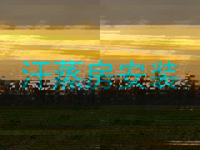 汗蒸房安装