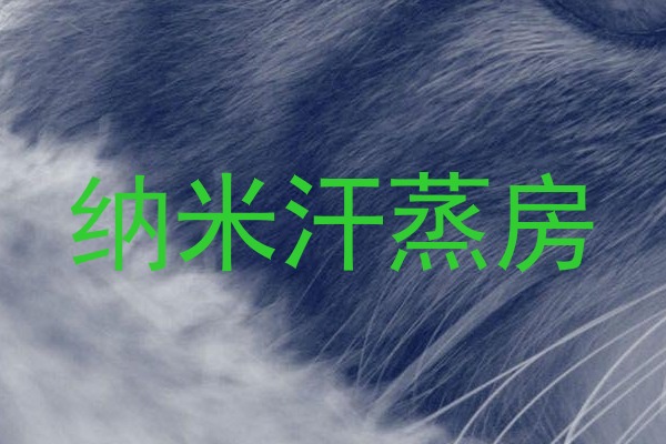 纳米汗蒸房