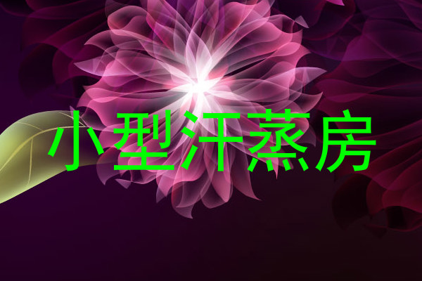 小型汗蒸房