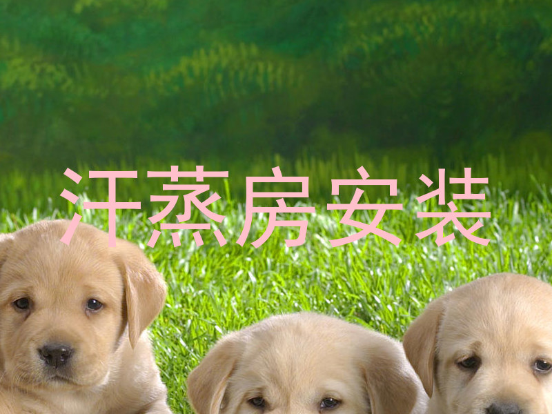 汗蒸房安装