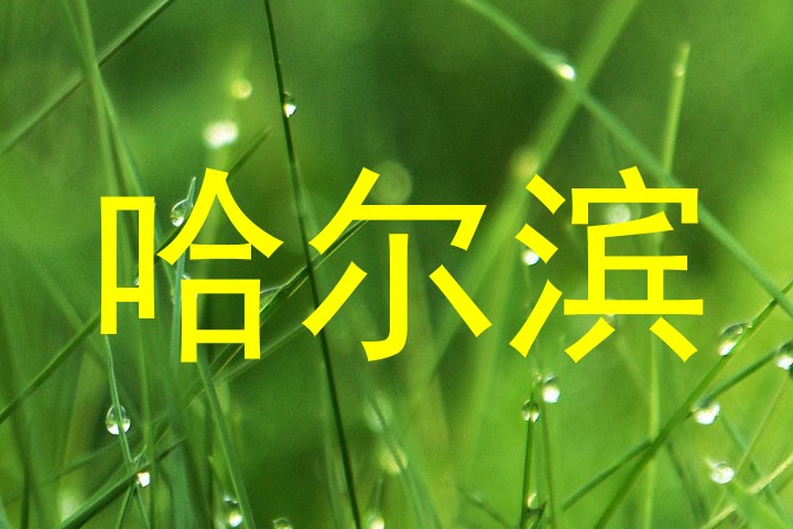哈尔滨