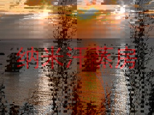 纳米汗蒸房