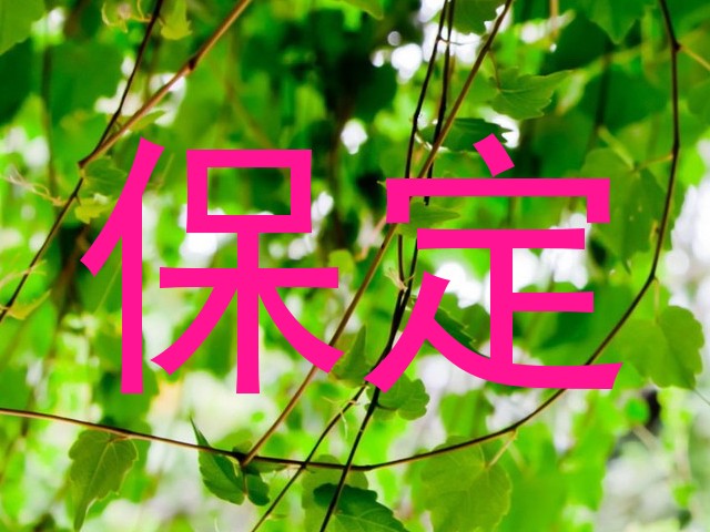 保定