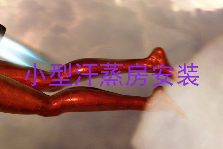 小型汗蒸房安装