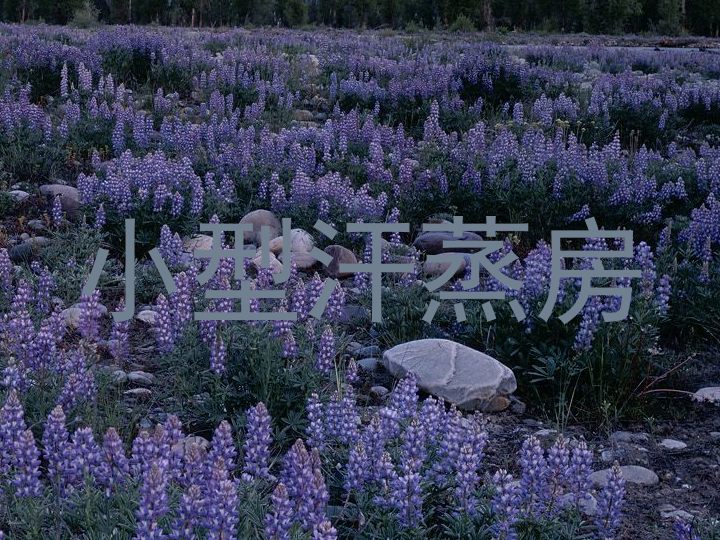 小型汗蒸房