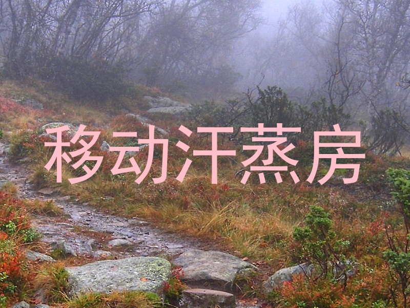 移动汗蒸房