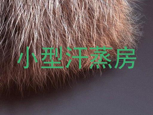 小型汗蒸房