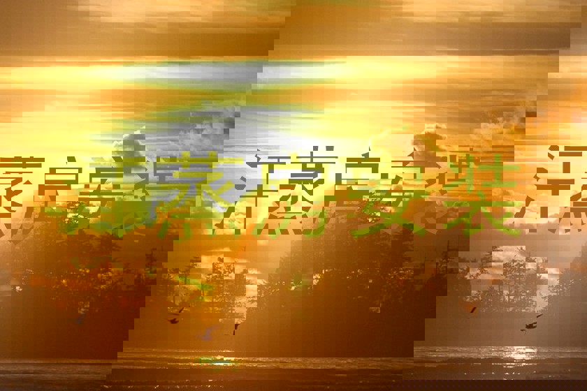 汗蒸房安装