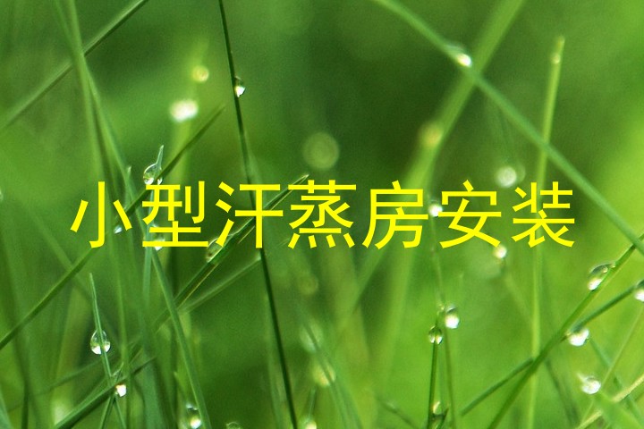 小型汗蒸房安装