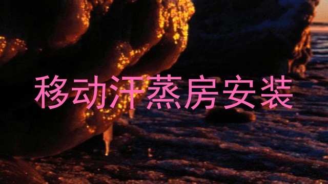 移动汗蒸房安装