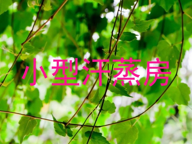 小型汗蒸房