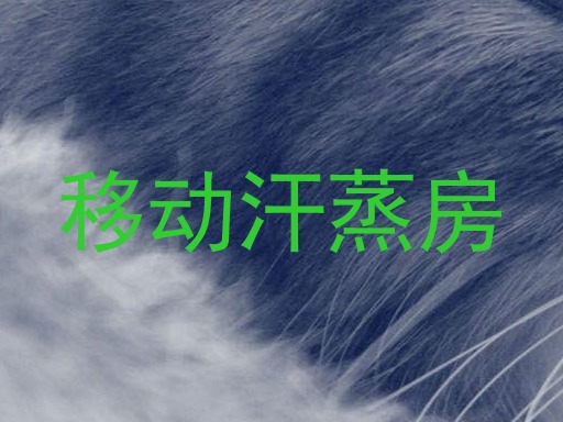 移动汗蒸房