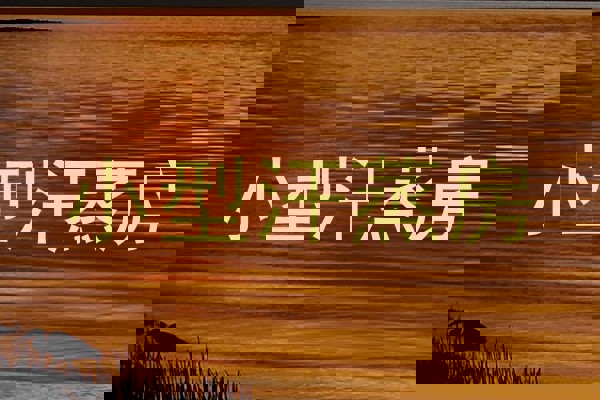 小型汗蒸房