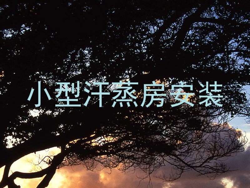 小型汗蒸房安装