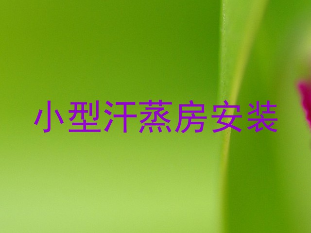 小型汗蒸房安装