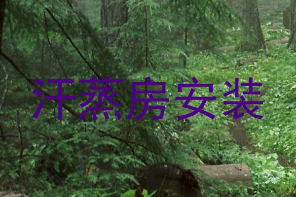 汗蒸房安装