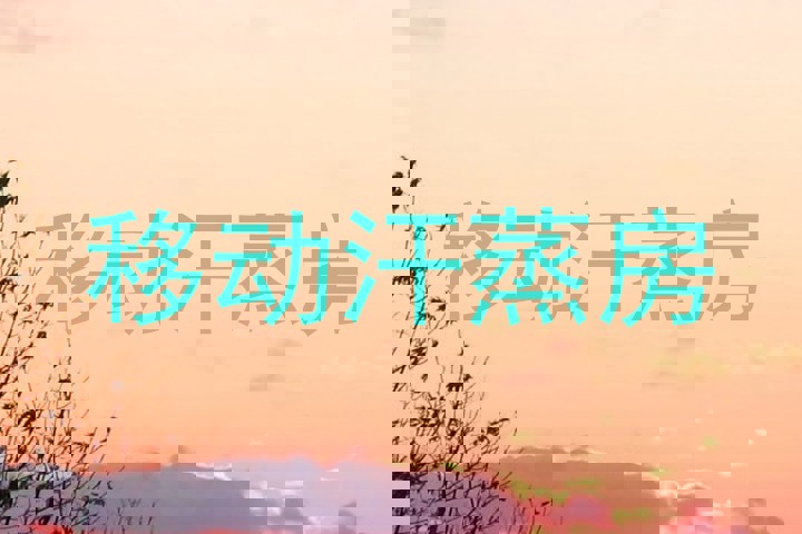 移动汗蒸房