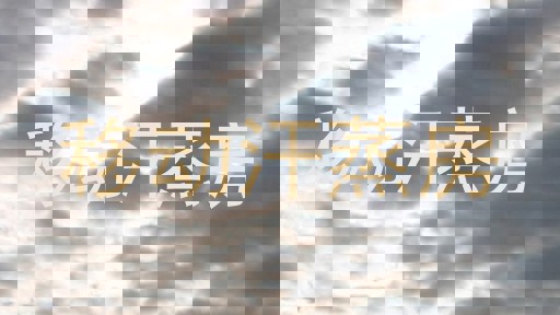 移动汗蒸房