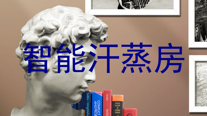 智能汗蒸房