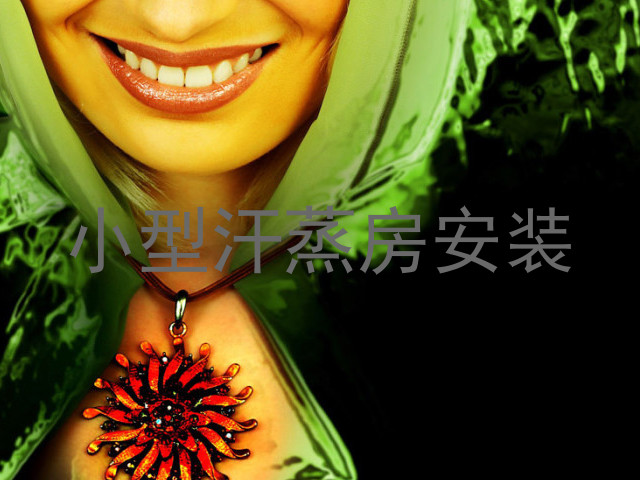 小型汗蒸房安装