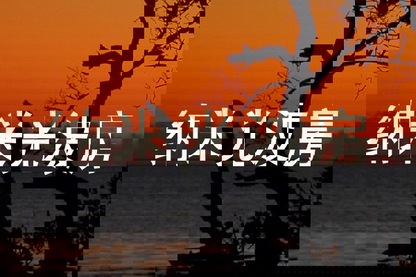 纳米光波房
