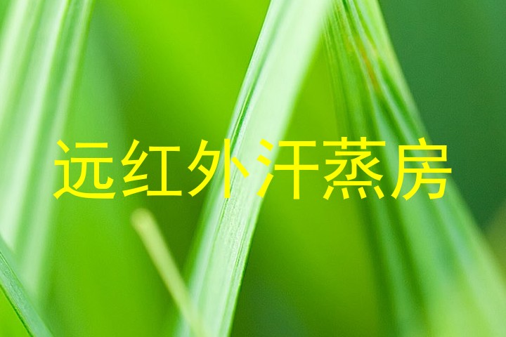 远红外汗蒸房