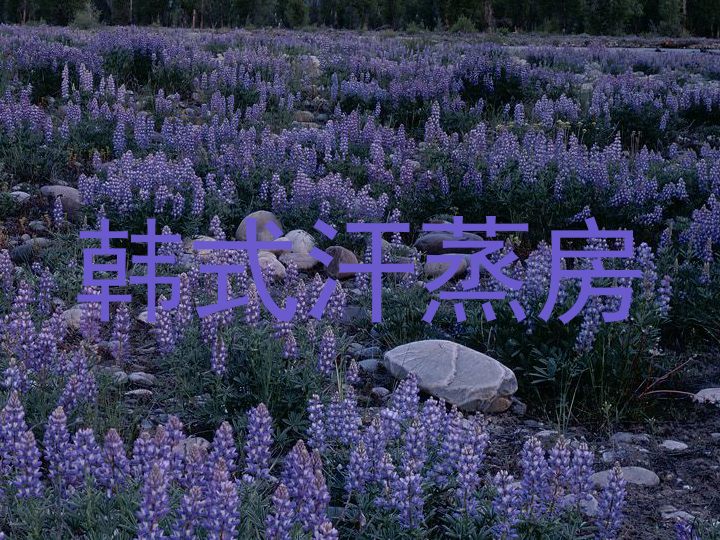 韩式汗蒸房