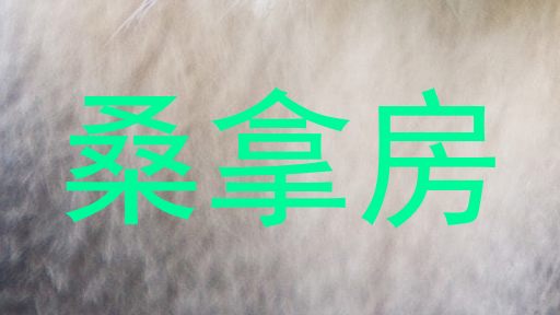 桑拿房