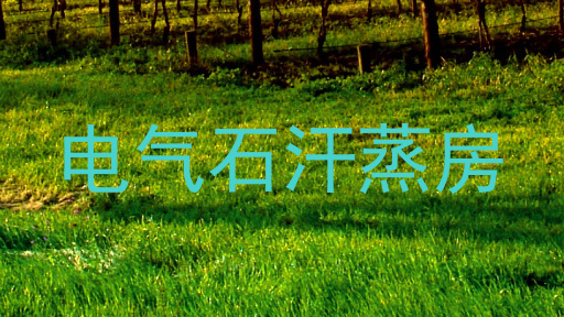电气石汗蒸房