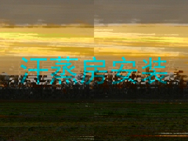 汗蒸房安装
