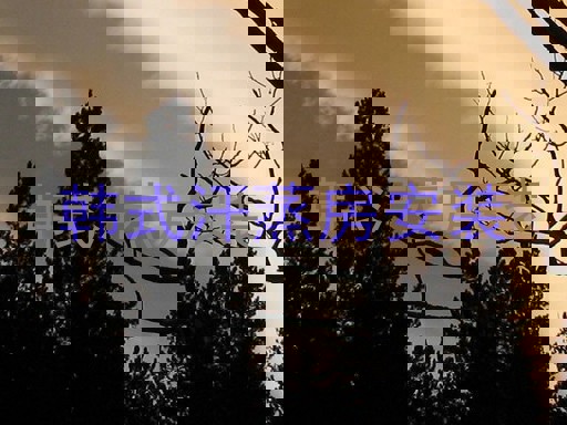 韩式汗蒸房安装