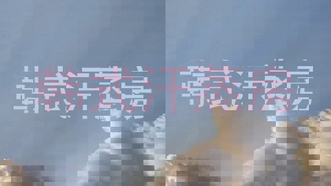韩式汗蒸房