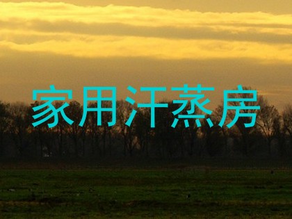 家用汗蒸房