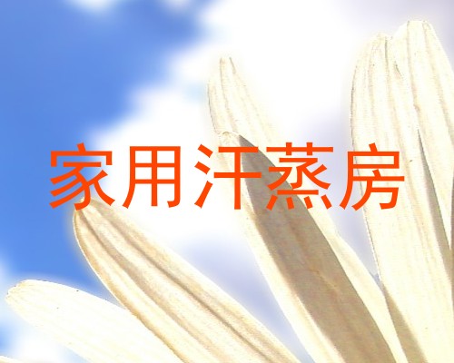家用汗蒸房
