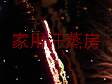 家用汗蒸房