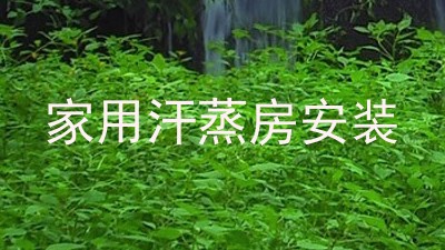 家用汗蒸房安装
