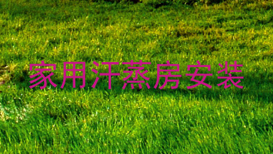 家用汗蒸房安装