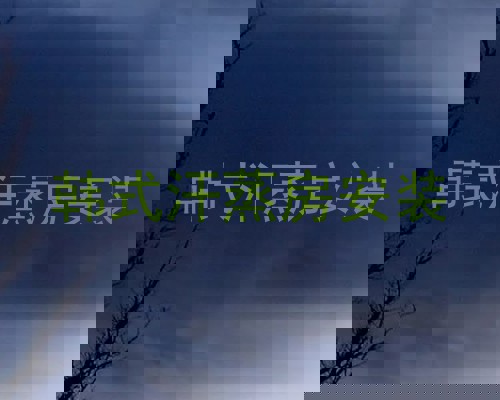 韩式汗蒸房安装