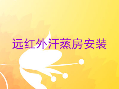 远红外汗蒸房安装