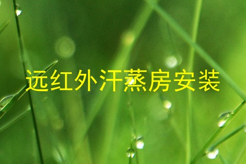 远红外汗蒸房安装